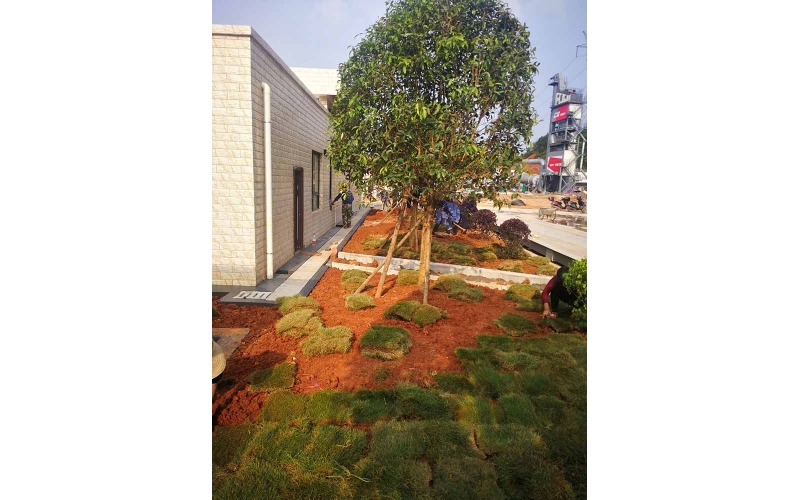湖南華苑園林為韶山萬豪混凝土材料有限公司打造宜人廠區(qū)園林綠化