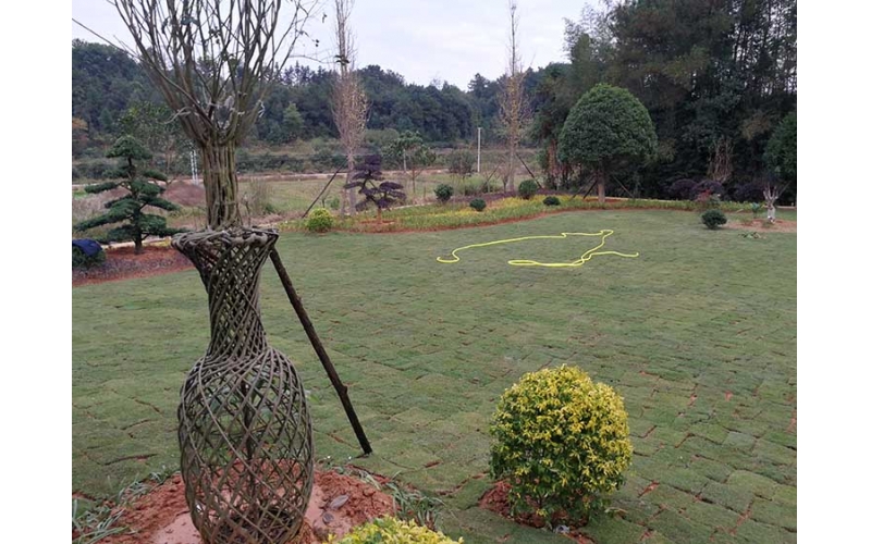 湖南華苑園林為長沙縣開慧鄉(xiāng)喻總的農(nóng)莊設(shè)計了精致園林綠化方案，包括草坪、造型樹、喬木、灌木等多種植物。