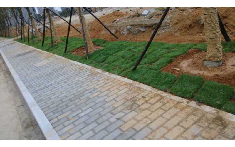 湖南華苑園林為長沙金州大道注入綠色生機(jī)